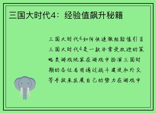三国大时代4：经验值飙升秘籍